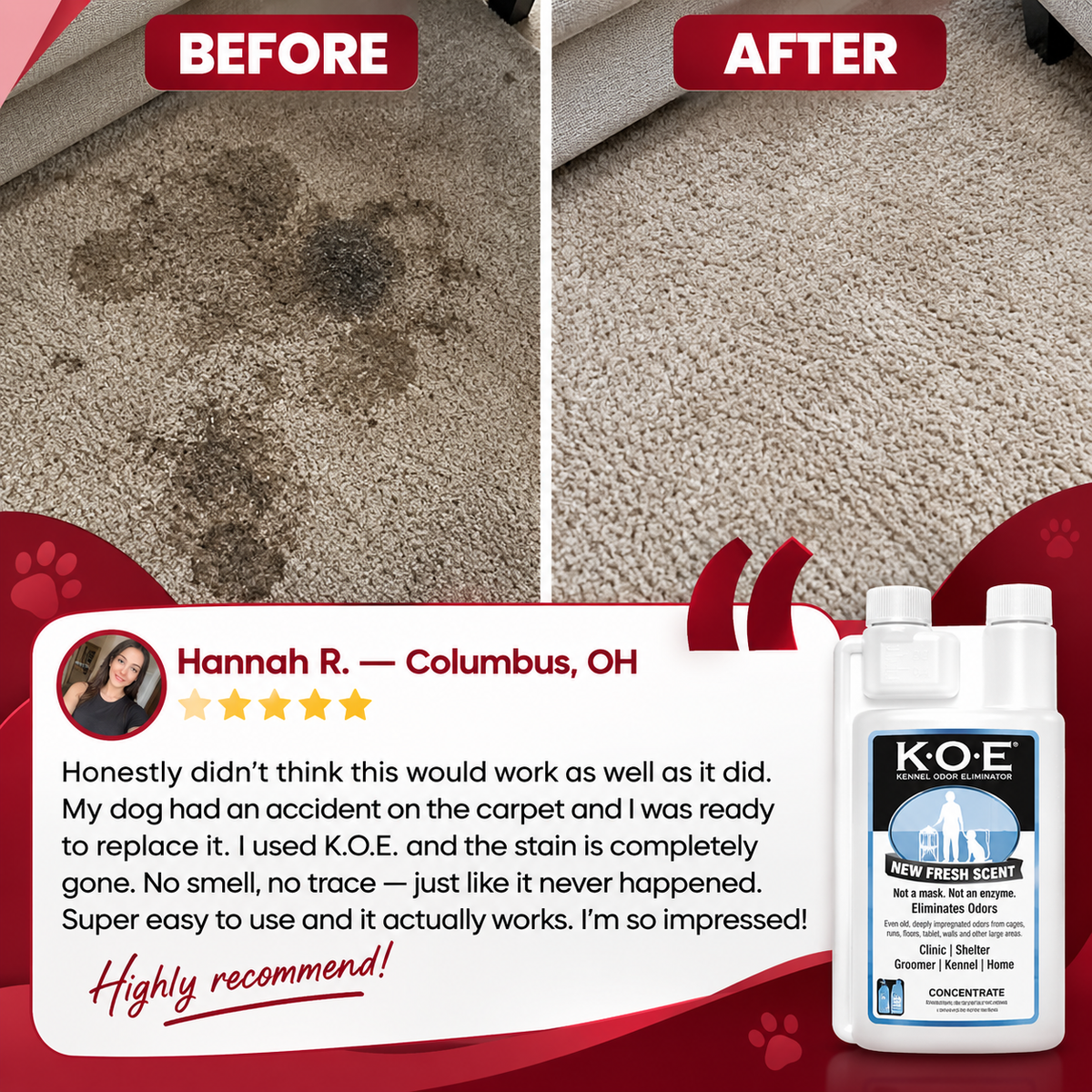 Kennel Odor Eliminator