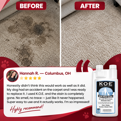 Kennel Odor Eliminator