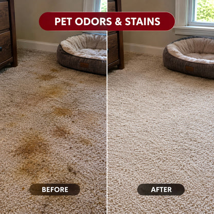 Animal Odor Eliminator